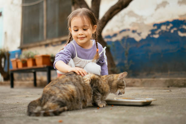 istock Child playing with cat at backyard. Kids and pets. 1316247887