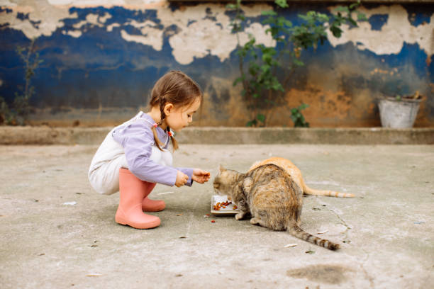 istock Child playing with cat at backyard. Kids and pets. 1316247936