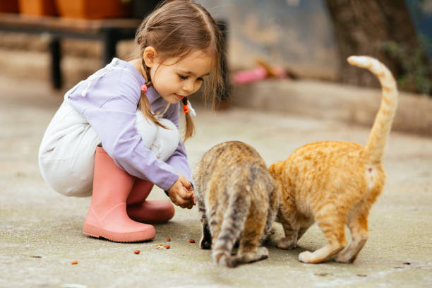 istock Child playing with cat at backyard. Kids and pets. 1316248119