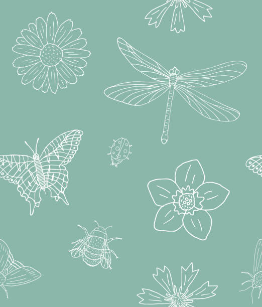 Vector seamless pattern of white hand drawn doodle sketch insects and flowers Vector seamless pattern of white hand drawn doodle sketch insects and flowers isolated on mint background dragonfly drawing stock illustrations