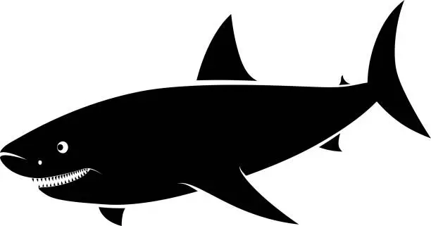 Vector illustration of shark