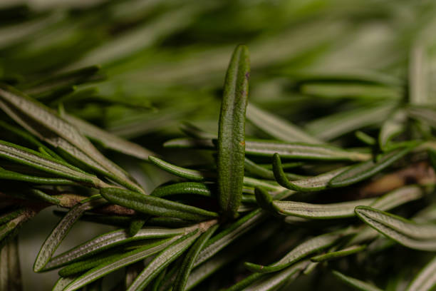 istock Rosemary leaves on a cutting board 1316254761