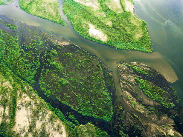 istock drone view on the green islands in zambezi river 1316254915