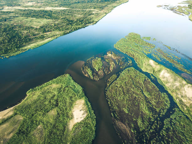 istock drone view on the green islands in zambezi river 1316254964