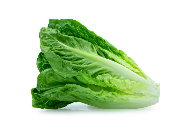 istock Fresh green Lettuce leaves, Salad leaf isolated on white background. with clipping path. 1316256015