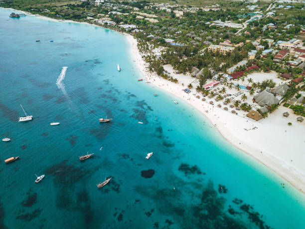 istock drone view on coastline of zanzibar island 1316256265