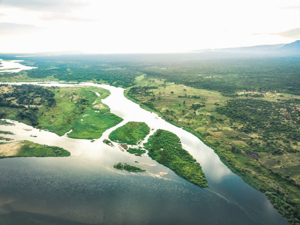 istock green islands in the lower zambezi river at sunset hour 1316257297