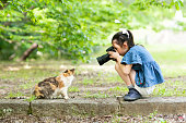 女の子は、一眼レフカメラで猫の写真を撮ります
