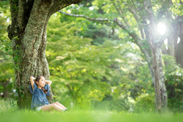 istock Girl sitting on a tree in the forest 1316261052
