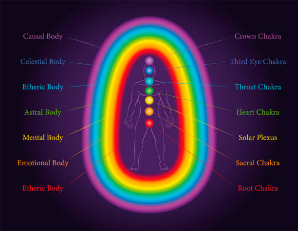 тела ауры. семь слоев медитирующего человека с родственными чакрами в одинаковых цветах. эфирный, эмоциональный, умственный, астральный, не - astral stock illustrations