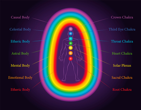 Aura bodies. The seven layers of a meditating man with related chakras in the same colors. Etheric, emotional, mental, astral, celestial and causal layer. Labeled vector illustration chart.