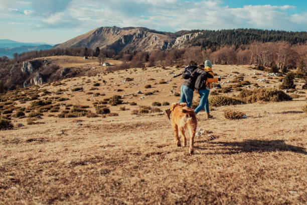 istock a young couple hiking having fun on the mountain 1316261922