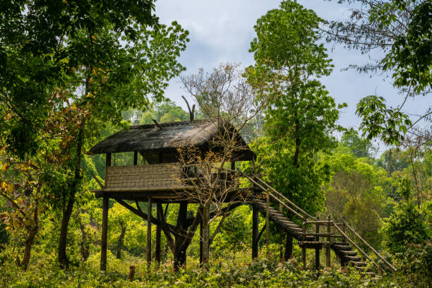 istock Old house in the woods. 1316262038
