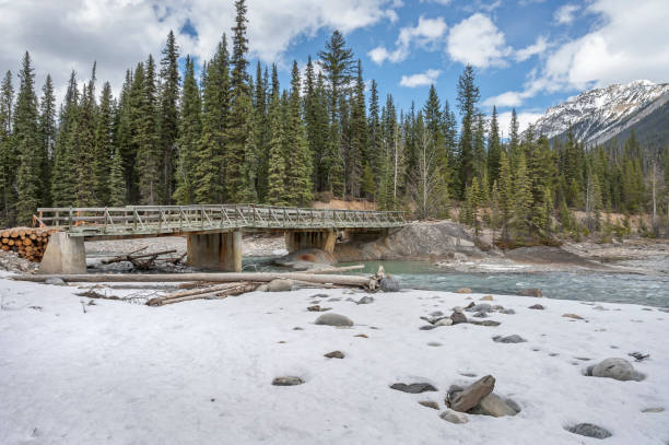 istock Amiskwi River Bridge near Field, British Columbia 1316262275
