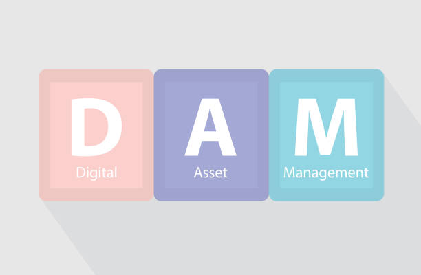 illustrazioni stock, clip art, cartoni animati e icone di tendenza di concetto di dam digital asset management - dam