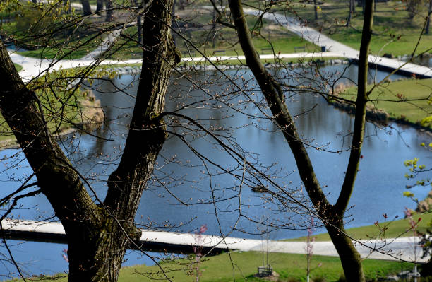 istock View from the viewpoint through the sprouting branches of linden trees. park with many ponds and a bridge. fabulous green lawns and white paths in smooth arches in spring 1316263247
