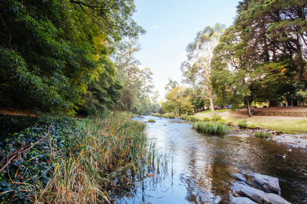 istock Yarra River View in Warburton Australia 1316265940