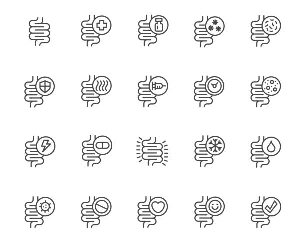 Intestine icon set Intestine icon set , vector illustration colorectal cancer stock illustrations