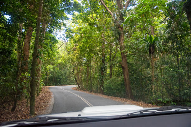 Driving into the tropical rain forest of Daintree National Park, Queensland, Australia.