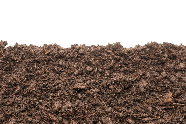 istock Black land for plant. 1316270935