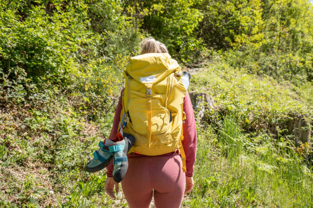istock Female hiking in forest, Springtime 1316272141