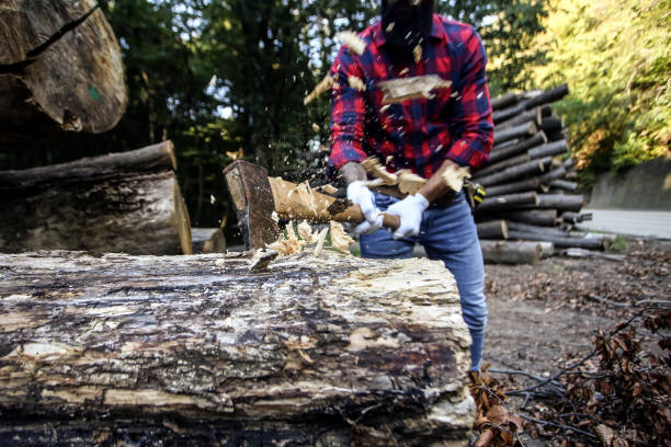 istock Lumberjack chopping wood 1316272223