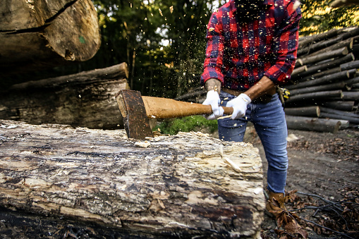 Mid adult man working as a lumberjack in a forest. Unrecognizable Caucasian male.