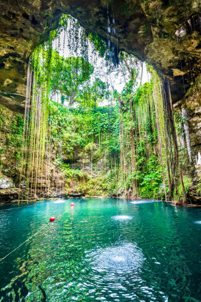 メキシコのユカタン半島、イクキル・セノテ - cancun ストックフォトと画像