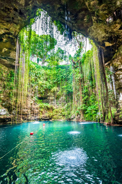 Ik-Kil Cenote, Yucatan Peninsula in Mexico Ik-Kil Cenote, Mexico. Lovely cenote in Yucatan Peninsulla with transparent waters and hanging roots. Chichen Itza, Central America. cancun photos stock pictures, royalty-free photos & images