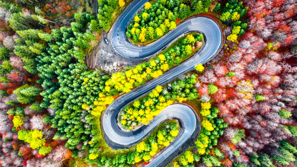 istock Winding road in Carpathian Mountains, Romania 1316275537