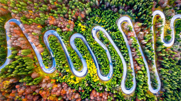 istock Winding road in Carpathian Mountains, Romania 1316275549