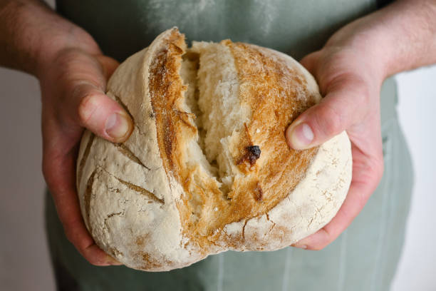 istock Crispy fresh bread in the hands of a man. Chef in kitchen apron. Rustic organic wheat bread. Gluten free. Home baking bread closeup. Delicious natural foods, healthy food baking. Small business and slow food concept 1316277055
