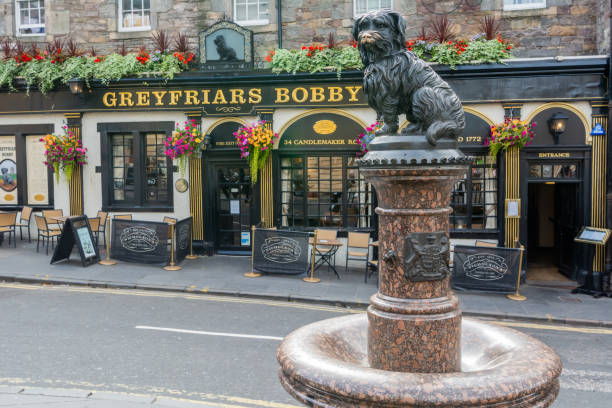 estátua de greyfriars bobby na rua candlemaker row em edimburgo, escócia. - eleanor - fotografias e filmes do acervo