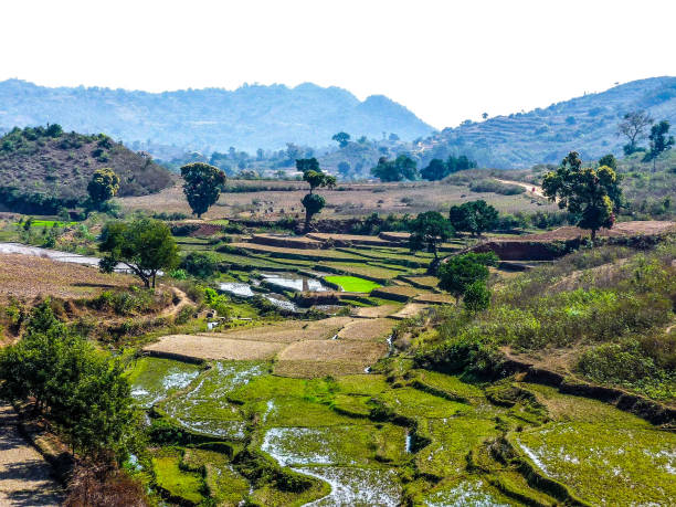 istock THE LANDSCAPE SCENERY IN ARAKU VALLEY, INDIA 1316279867