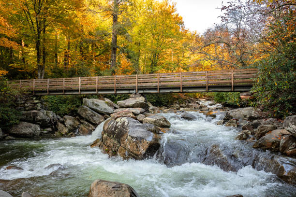 istock Bridge Over Little Pigeon River In Fall 1316280374