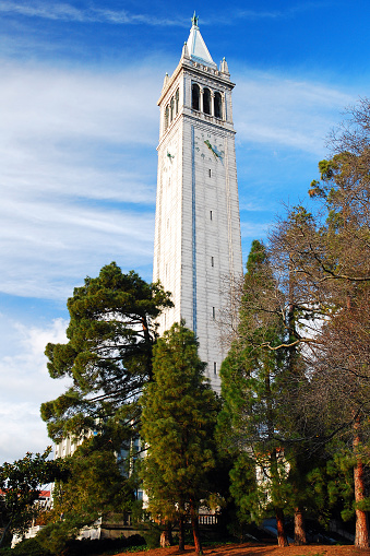 Berkeley, CA, USA February 21 The Sather Campanile rises over the campus of the University of California Berkeley, in Berkeley, California