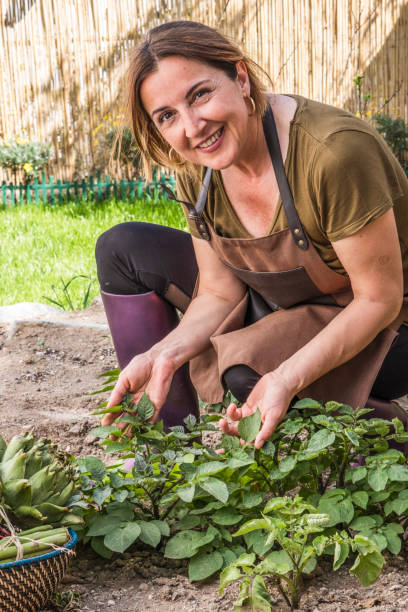 istock Young woman enjoying working in the garden at Covid-19 lockdown. She is smiling while taking care of seedlings 1316287183