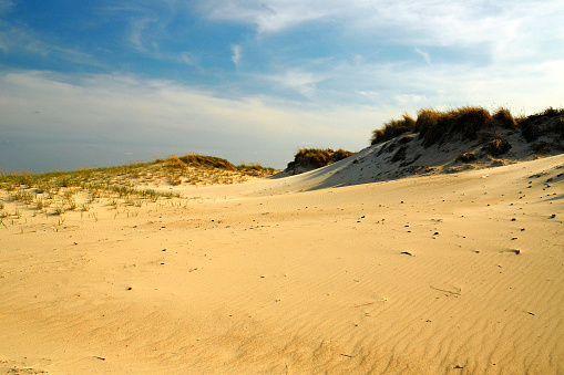 The wind swept dunes at Hampton Beach are empty in the off season