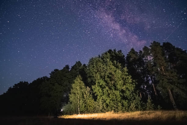 istock a beautiful night sky, the Milky Way and the trees 1316288126