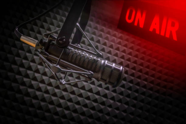 istock Professional microphone in radio station studio 1316289581