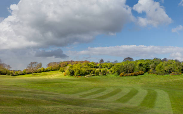 istock The Westwood public park and golf course in spring. Beverley, UK. 1316293580