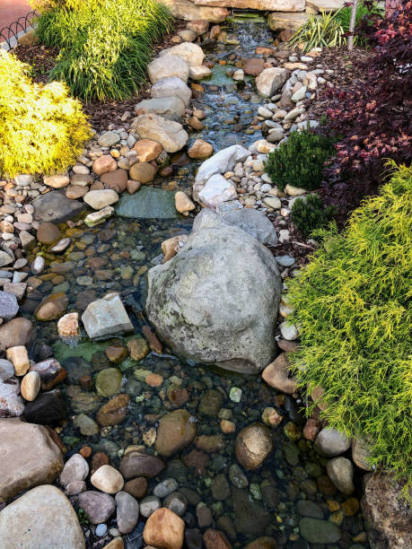 istock Colorful plants by small stream 1316298606