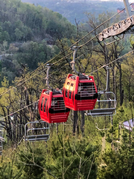 istock Red chondolas and chair lifts going up mountain 1316298733
