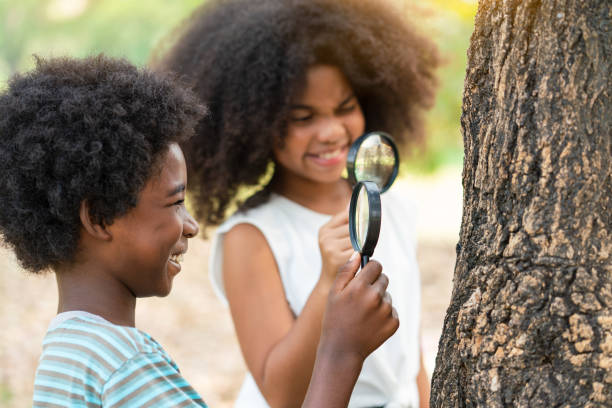 istock African American boy with friends exploring and looking bugs on the tree with the magnifying glass between learn beyond the classroom. Education outdoor concept. 1316301835