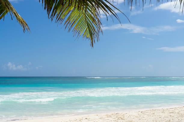 istock Panoramic view of a tropical beach 1316302166
