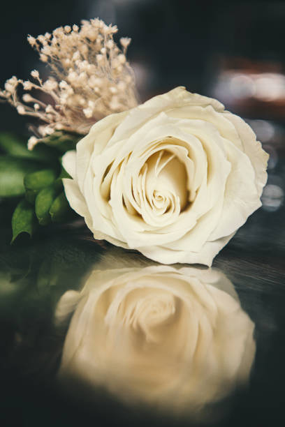 istock Beige rose flower arangement 1316304576