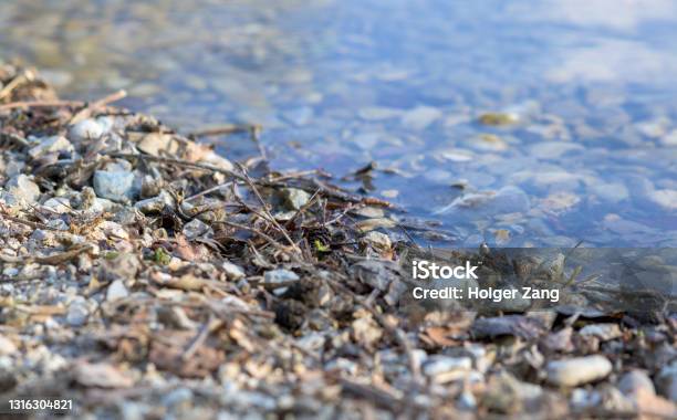 Steinufer Am See Stock Photo - Download Image Now - Backgrounds, Beach, Beauty In Nature