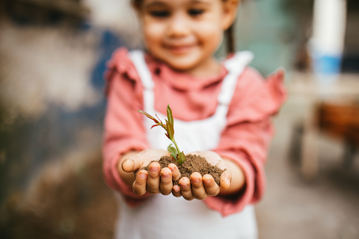 Woman hands planting a seed in backyard home garden - Girl gardening during quarantine isolation - Focus on plant - Nature and nurture concept