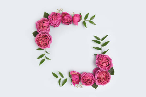 istock Flower border frame made of rose on a blue background. 1316306256