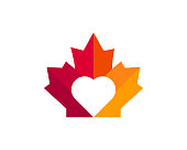 Maple Heart logo design. Canadian Red Maple leaf with Love shape Concept